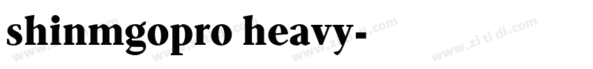 shinmgopro heavy字体转换